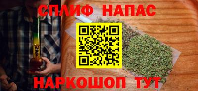 молекула духа Новозыбков