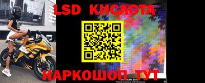 молекула духа Новозыбков