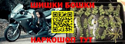 молекула духа Новозыбков