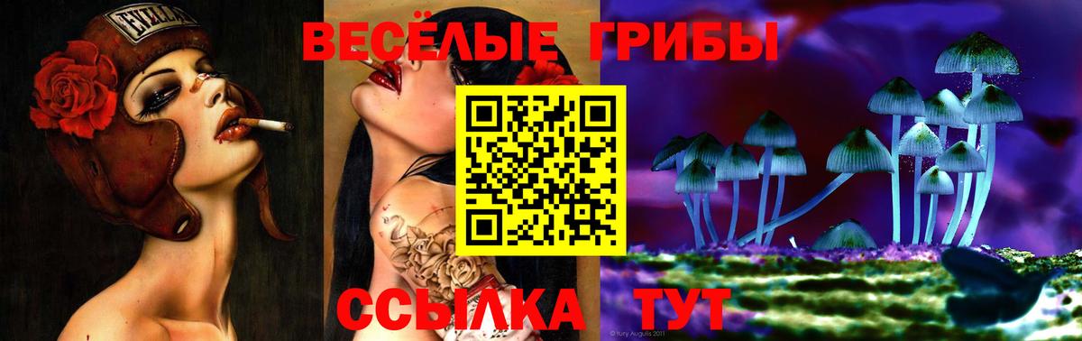 Псилоцибиновые грибы GOLDEN TEACHER  Вход с VPN  Феодосия  Галлюциногенные грибы мицелий 